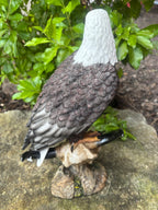 EAGLE PERCHED ON SKULL BIRD ANIMAL GARDEN STATUE ORNAMENT FIGURINE