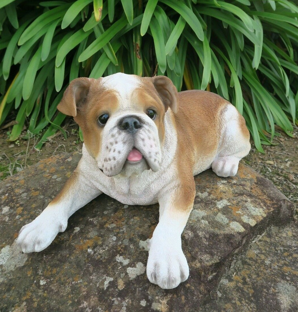 English Bulldog Statue Dog Doggy Memorial Ornament Home Decor Brown and  White