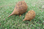 Echidna Statue Australian Native Wildlife Metal Ornament Garden Lawn Set of 2