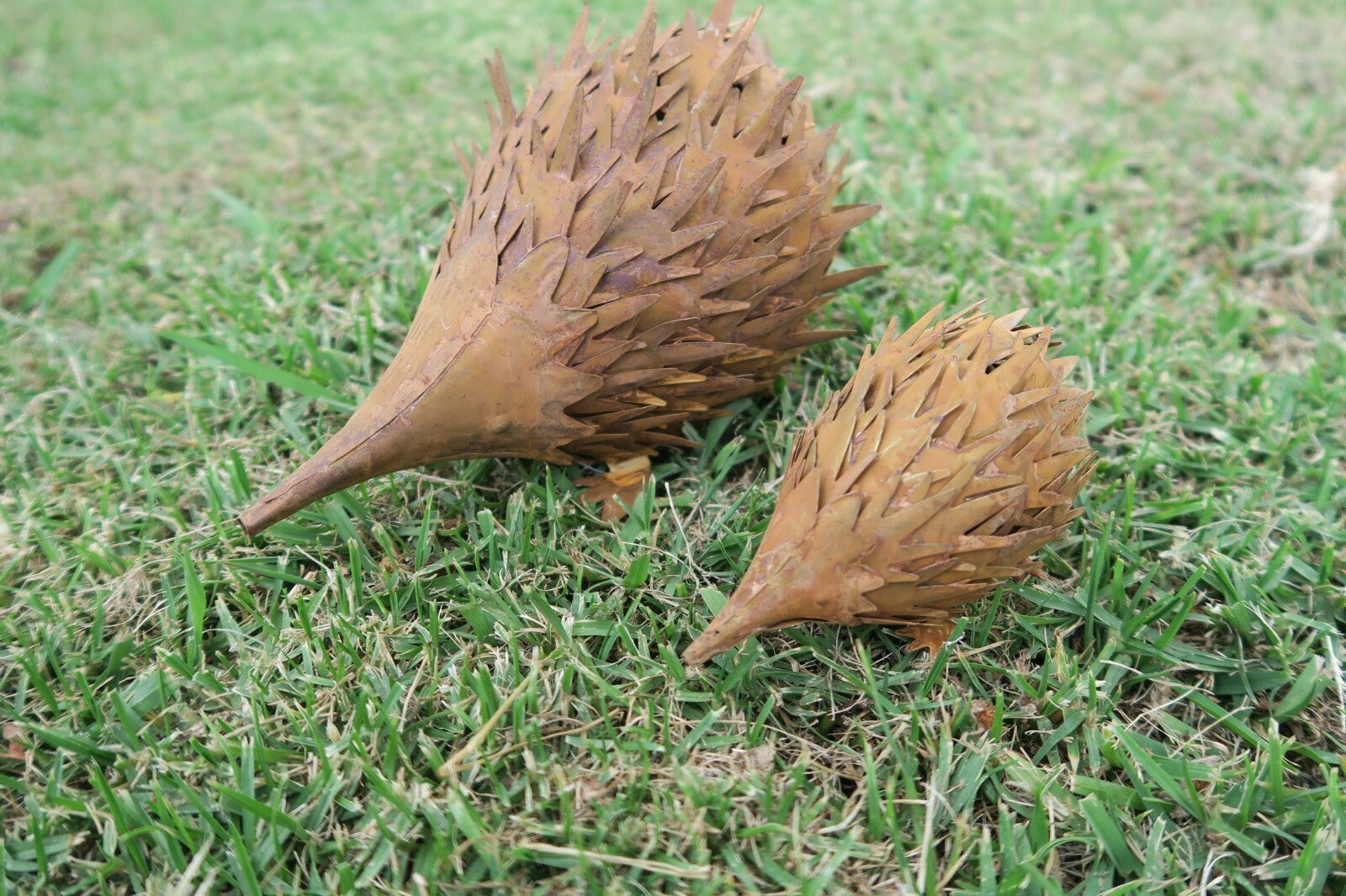 Echidna Statue Australian Native Wildlife Metal Ornament Garden Lawn Set of 2