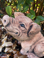 Pig Piglet Statue Farm Ornament Animal Concrete Garden Australian Made