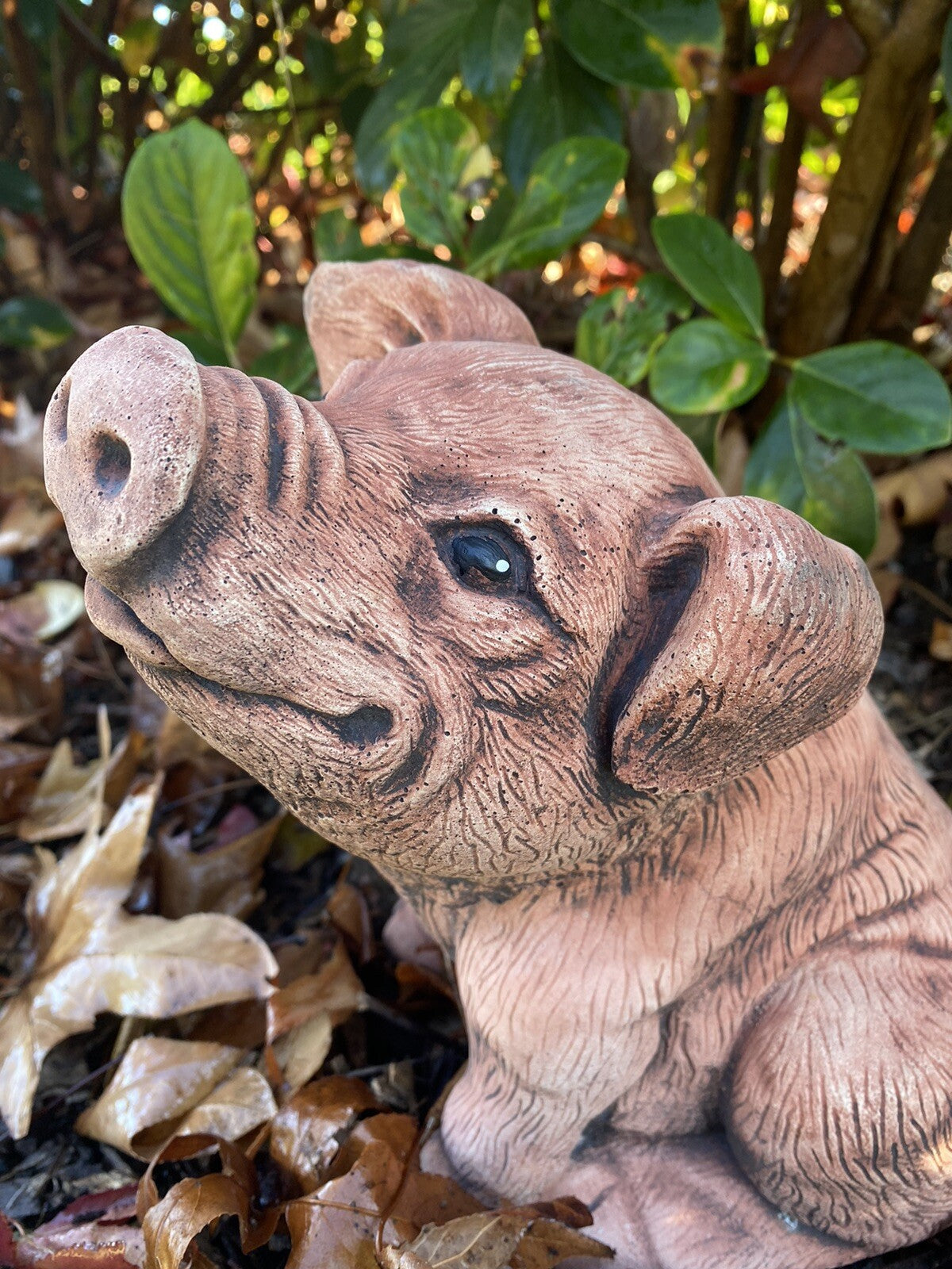 Pig Piglet Statue Farm Ornament Animal Concrete Garden Australian Made