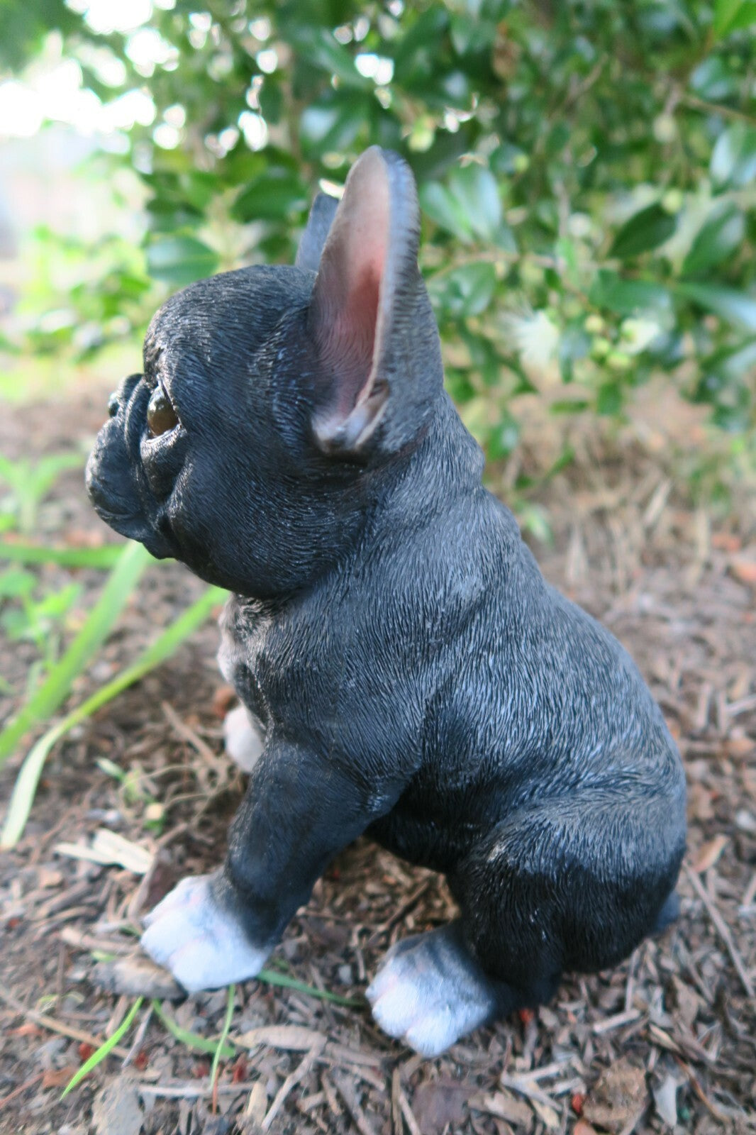 FRENCH BULLDOG SITTING DOG ANIMAL GARDEN STATUE ORNAMENT MEMORIAL BLACK