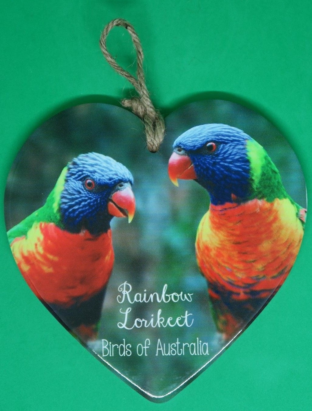 AUSTRALIAN RAINBOW LORIKEET & MAGPIE BIRD TILE GARDEN WALL ART HOME DECOR