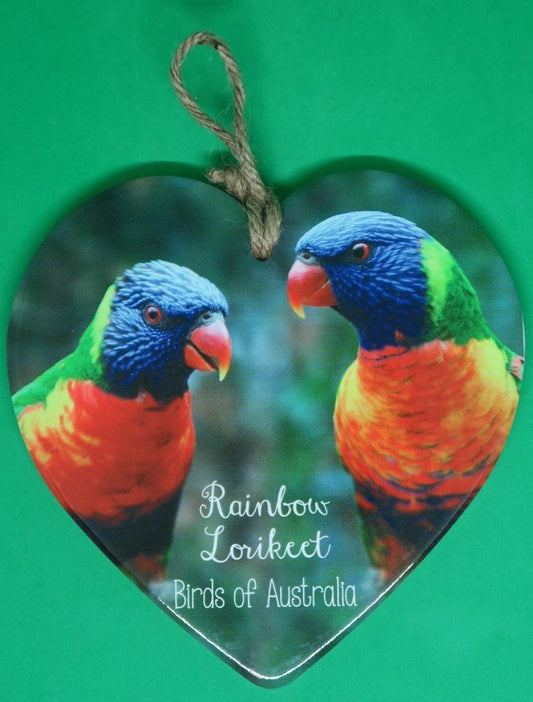 AUSTRALIAN RAINBOW LORIKEET & MAGPIE BIRD TILE GARDEN WALL ART HOME DECOR