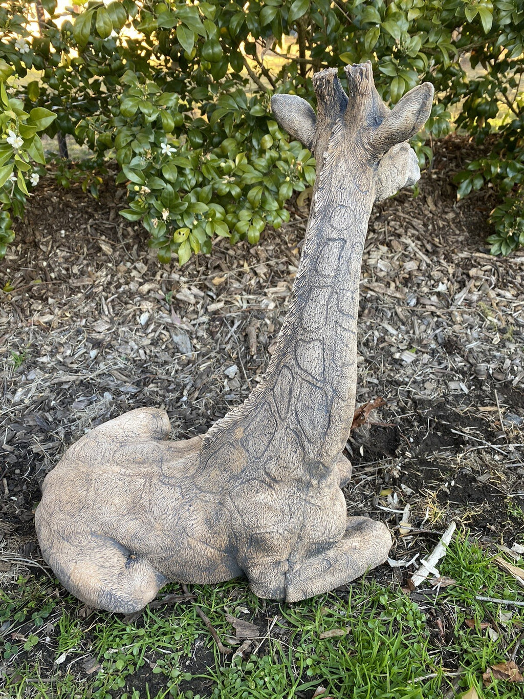 Giraffe African Animal Statue Ornament Animal Concrete Garden Australian Made