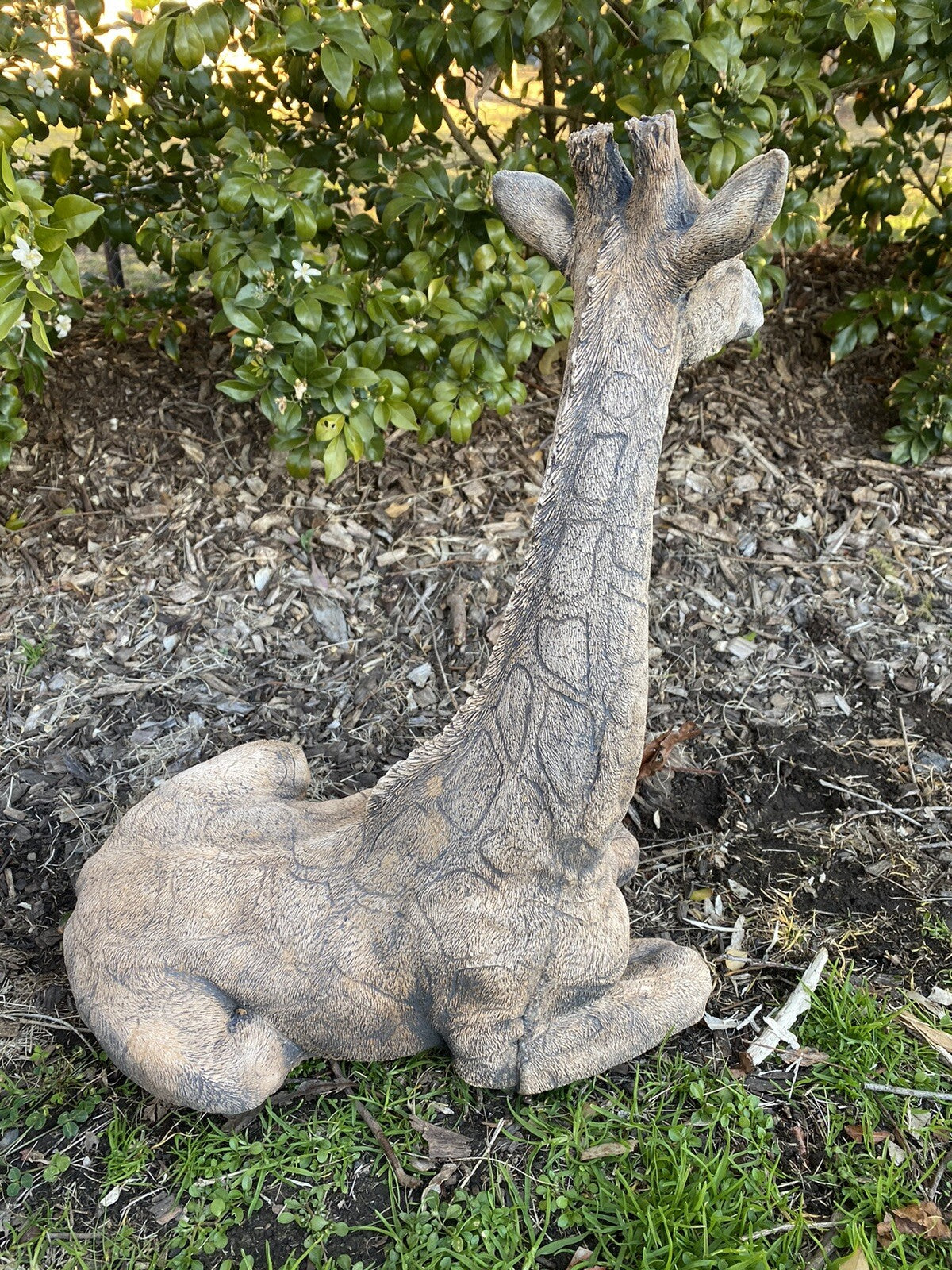Giraffe African Animal Statue Ornament Animal Concrete Garden Australian Made