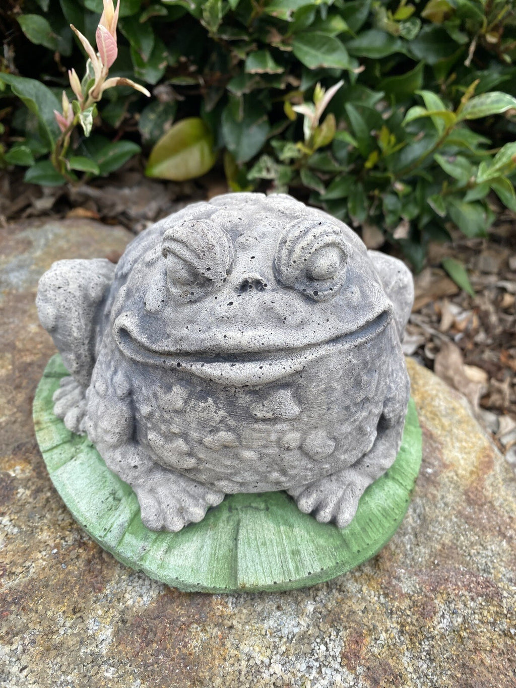 Smiling Frog  Animal Concrete Cement Garden Statue Australian Made