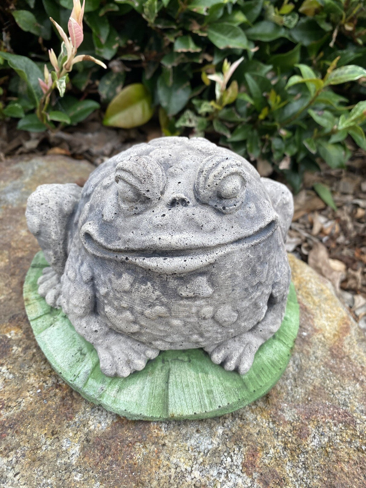 Smiling Frog  Animal Concrete Cement Garden Statue Australian Made