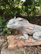Frill Neck Lizard Statue Ornament Animal Concrete Garden Australian Made Large