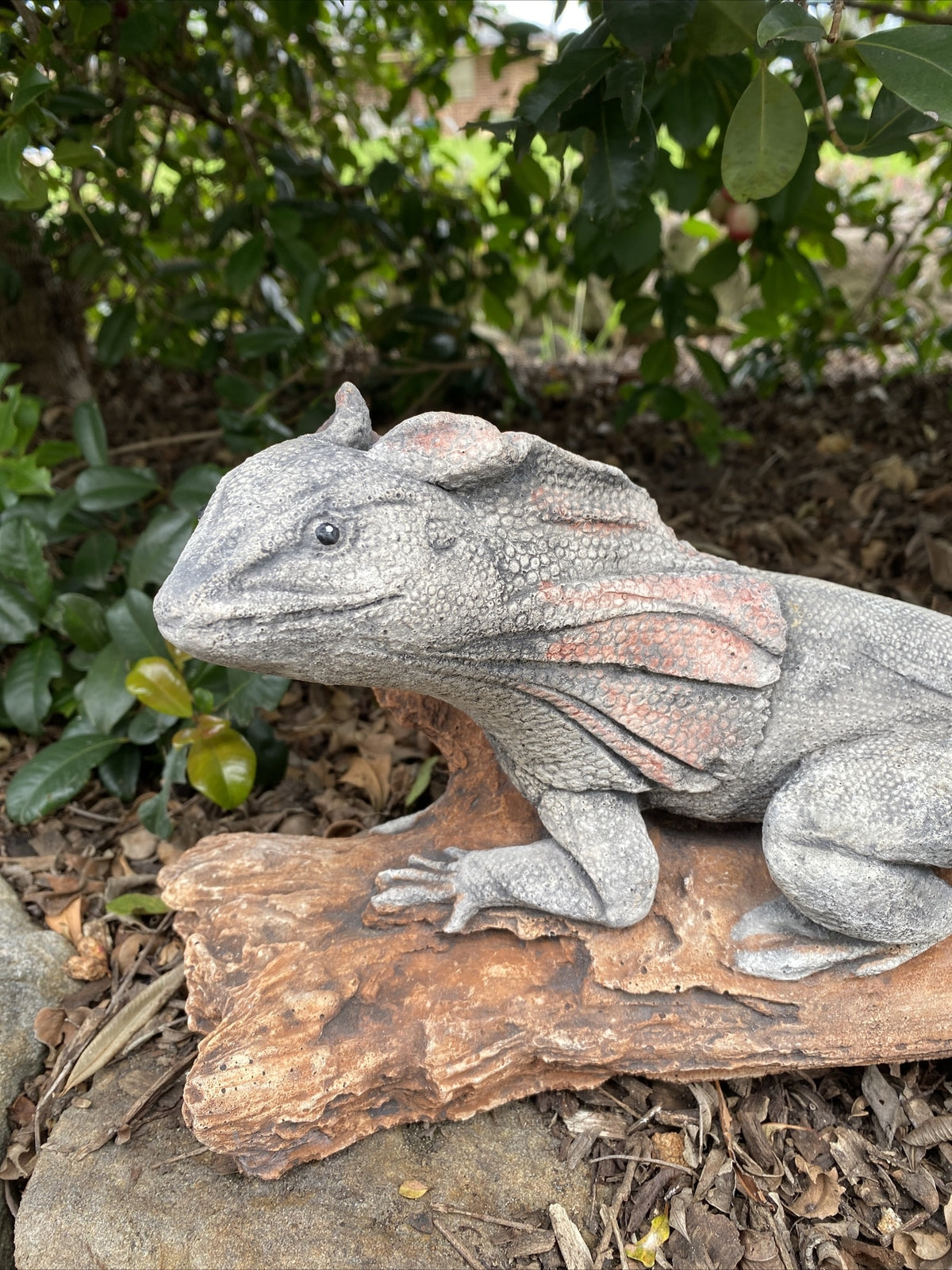 Frill Neck Lizard Statue Ornament Animal Concrete Garden Australian Made Large