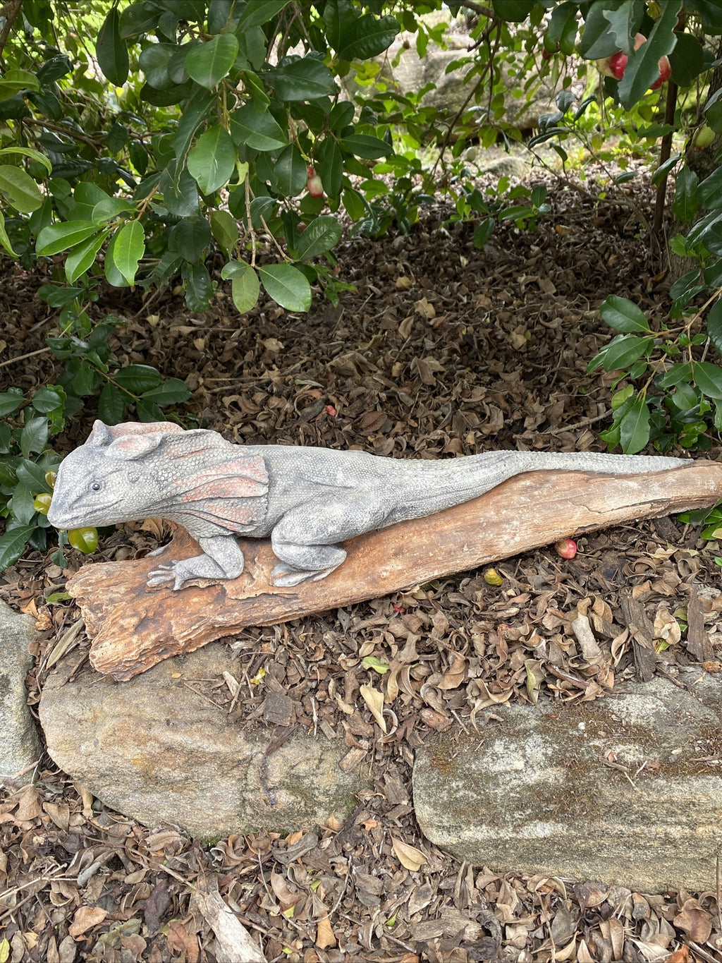 Frill Neck Lizard Statue Ornament Animal Concrete Garden Australian Made Large