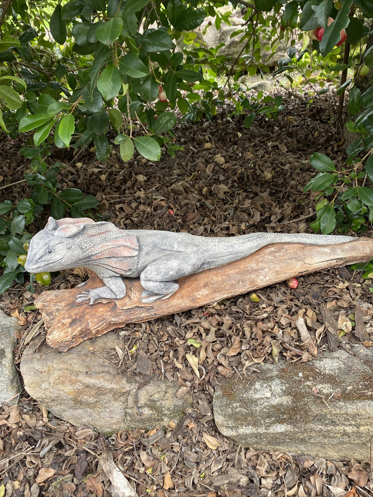 Frill Neck Lizard Statue Ornament Animal Concrete Garden Australian Made Large
