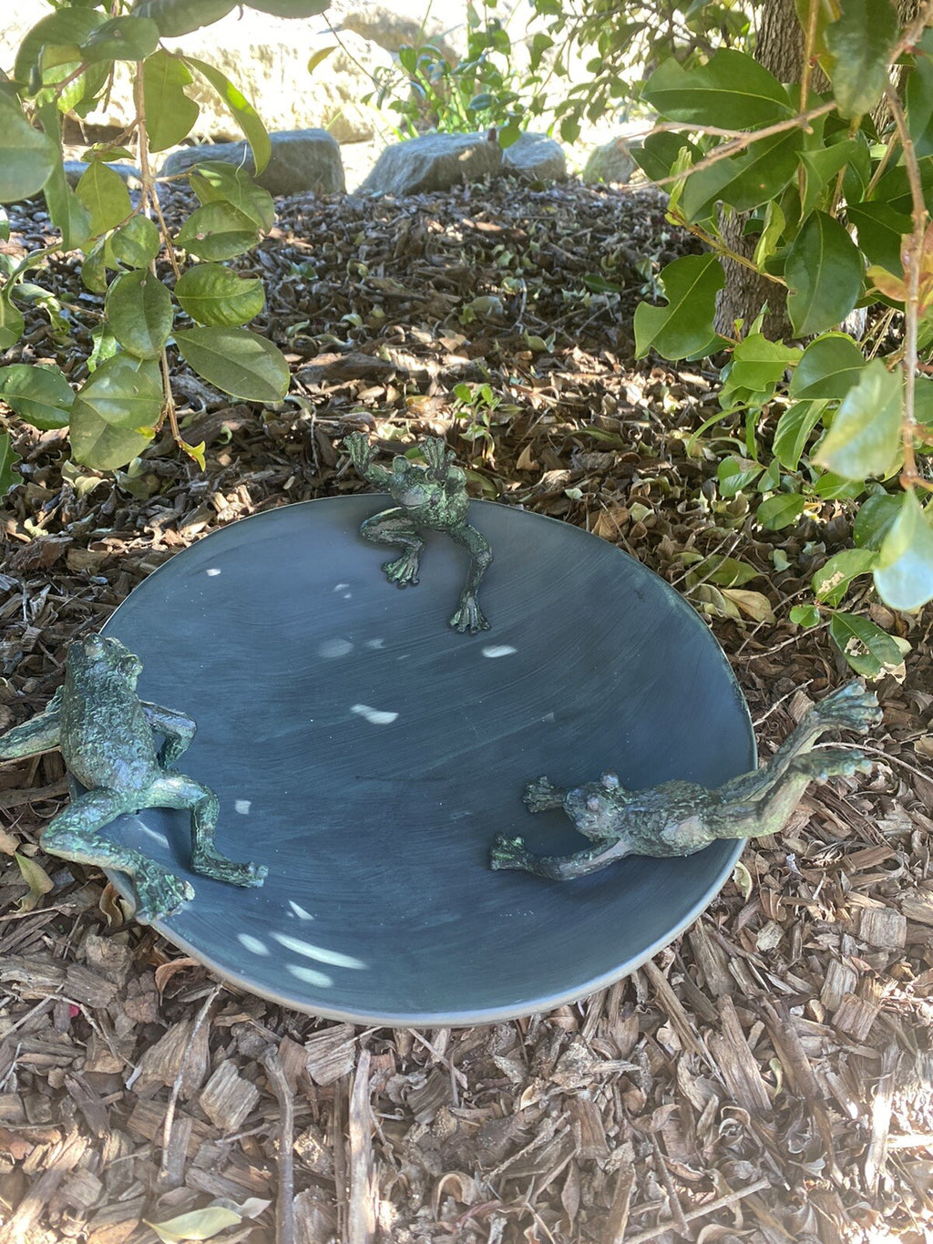 Frog Design Bird Bath Bee Water Station Wild Bird Garden Statue Ornament