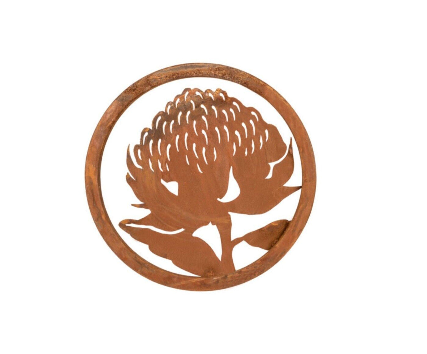 Australian Native Waratah Garden Flower Round Rust Corten Metal Wall Art 60cm