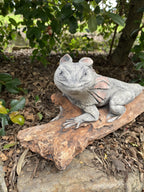 Frill Neck Lizard Statue Ornament Animal Concrete Garden Australian Made Large