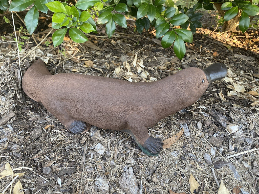 Platypus Statue Ornament Animal Concrete Cement Garden Australian Made Brown