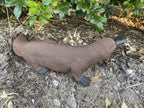 Platypus Statue Ornament Animal Concrete Cement Garden Australian Made Brown