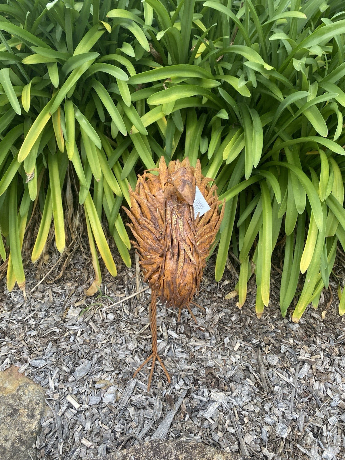 Set of 2 Rustic Metal Emu Garden Statues | Australian Outdoor Garden Ornaments