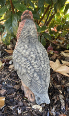 Galah Bird Statue Parrot Ornament Animal Concrete Garden Australian Made