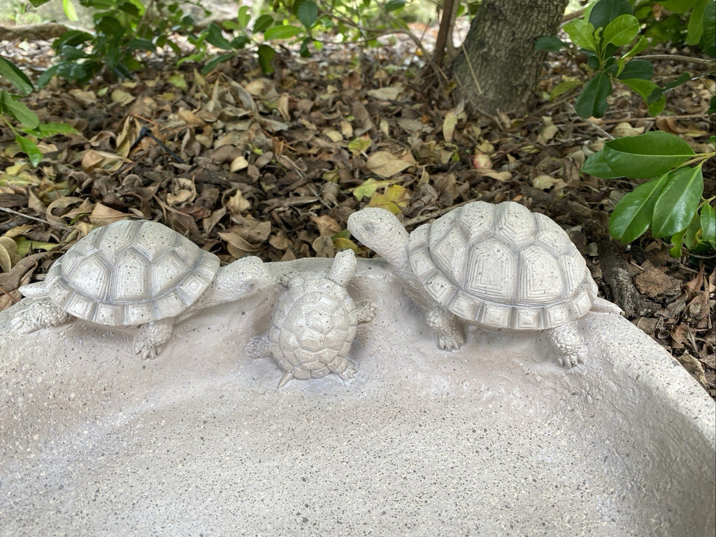 Turtle Design Bird Bath Bee Water Station