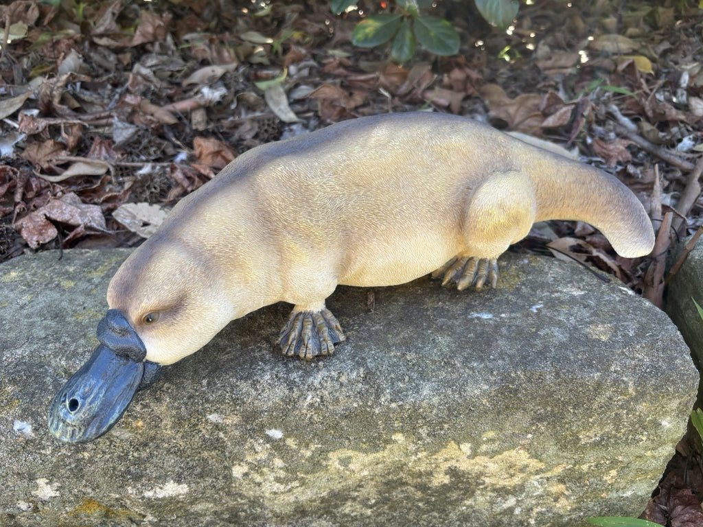 Resin Platypus Garden Statue | Australian Wildlife Ornament | Outdoor Decor 30cm