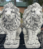 Guardian Lion Pair Concrete Garden Statue 60cm - Pick up Only