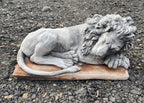 Guardian Lion Pair Statue Concrete Cement Garden Statue Australian Made