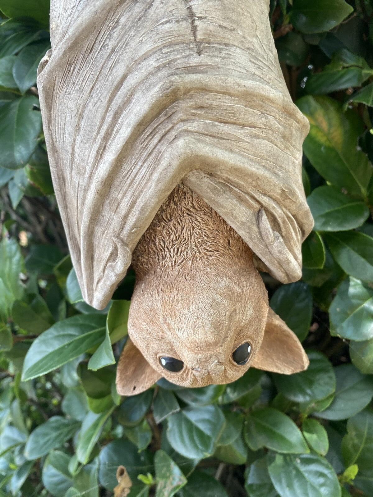 Hanging Bat Flying Fox Statue Concrete Garden Ornament Australian Made