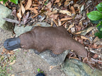 Platypus Statue Ornament Animal Concrete Cement Garden Australian Made Large Brn