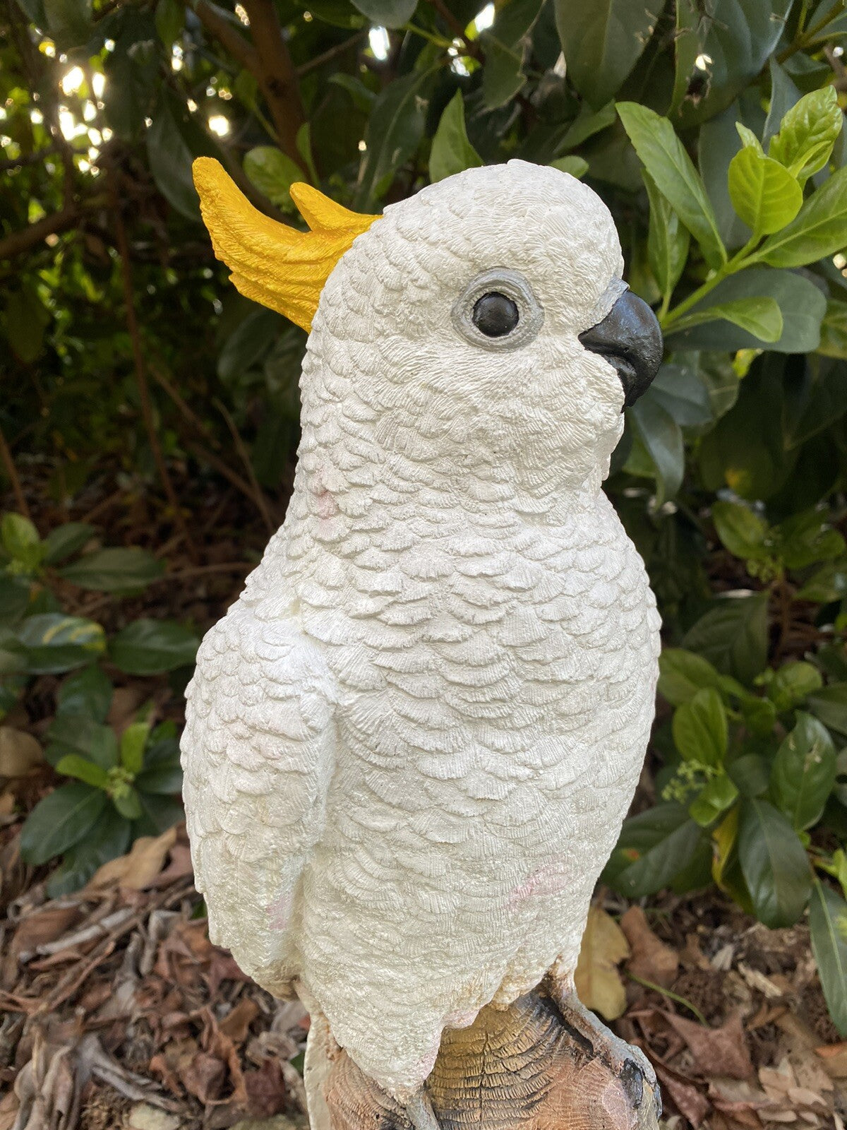 Sulfa Crested Cockatoo Garden Statue Ornament Animal Concrete  Australian Made