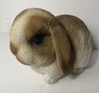 RABBIT BUNNY MINI LOP ANIMAL GARDEN STATUE ORNAMENT FIGURINE BROWN WHITE