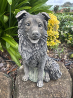 Concrete Border Collie Garden Dog Statue Ornament memorial - Australian Made