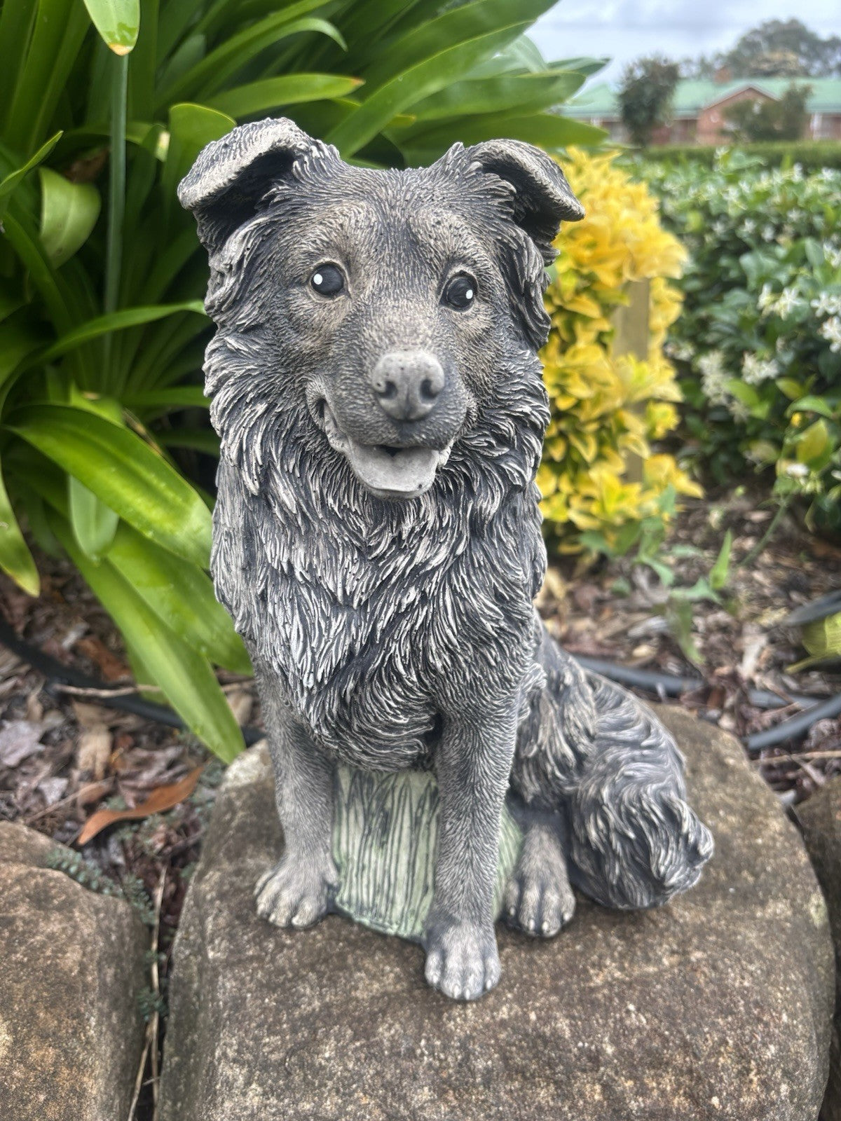 Concrete Border Collie Garden Dog Statue Ornament memorial - Australian Made