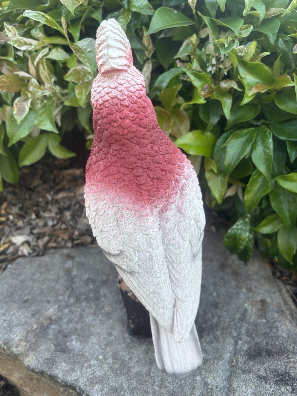 Resin Galah Parrot Bird Garden Statue Australian Bird Ornament 30cm