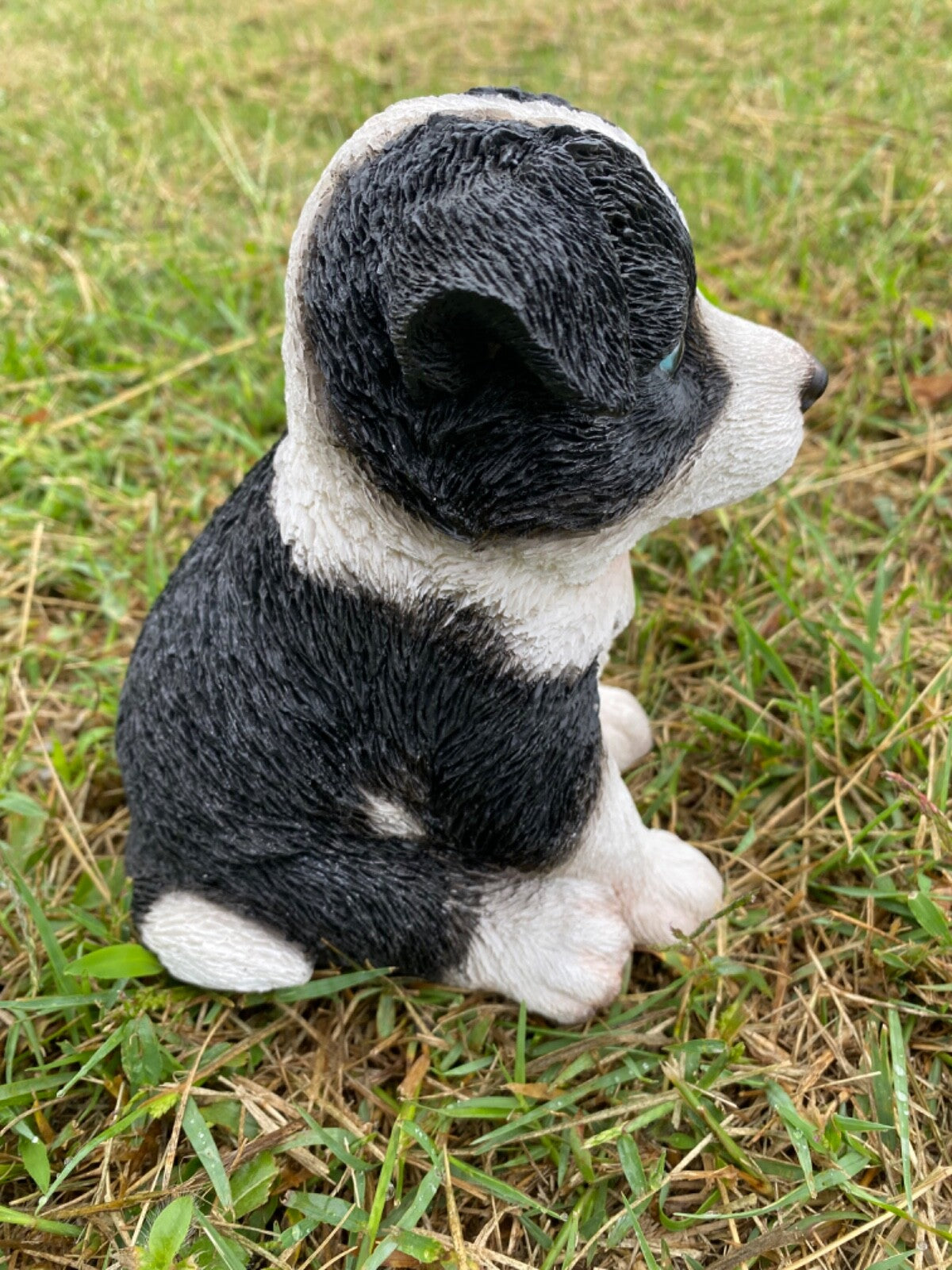 Border Collie Sitting Statue Working Sheepdog Ornament Memorial Home Decor 17 CM