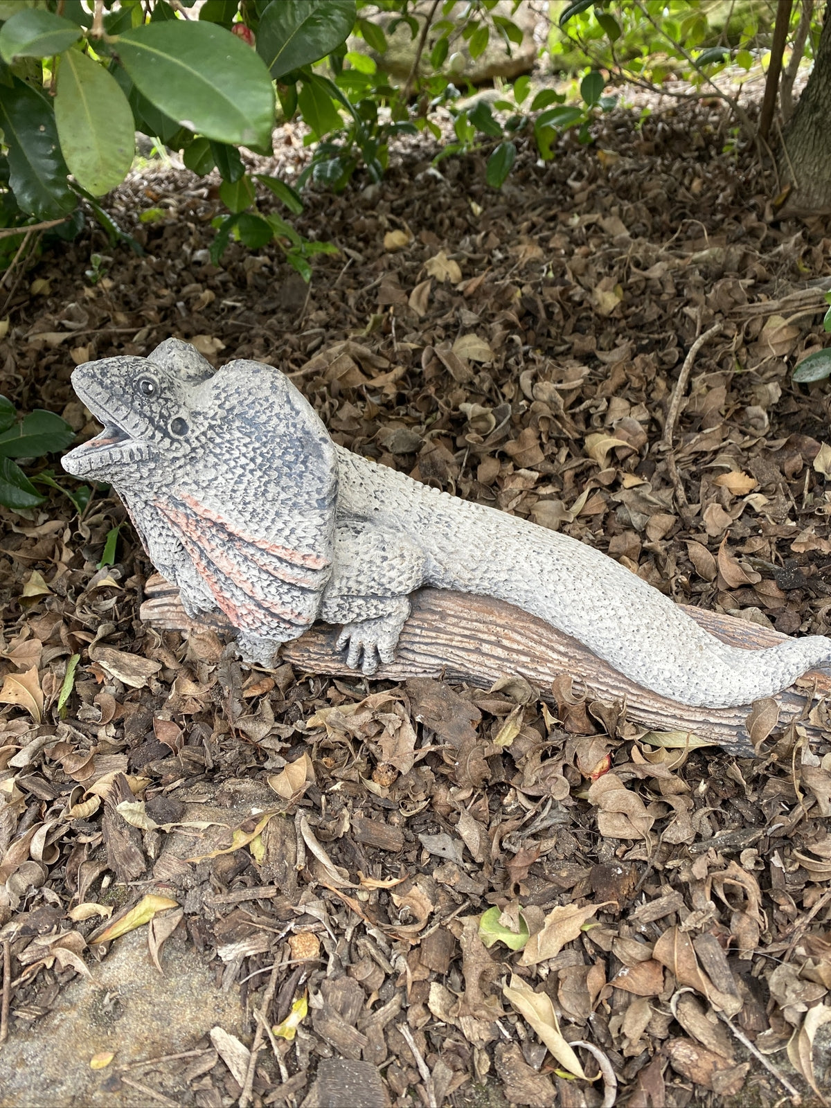 Frill Neck Lizard Statue Ornament Animal Concrete Garden Australian Made