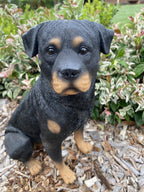 ROTTI ROTTWEILER STATUE PUPPY MEMORIAL ANIMAL GARDEN ORNAMENT SCULPTURE