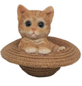 GINGER CAT IN A HAT ANIMAL GARDEN STATUE ORNAMENT FIGURINE SCULPTURE MONEY BOX
