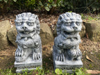 Foo Dog Guardian Lion Statue Concrete Cement Garden Statue Australian Made