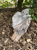 Frill Neck Lizard Statue Ornament Animal Concrete Garden Australian Made