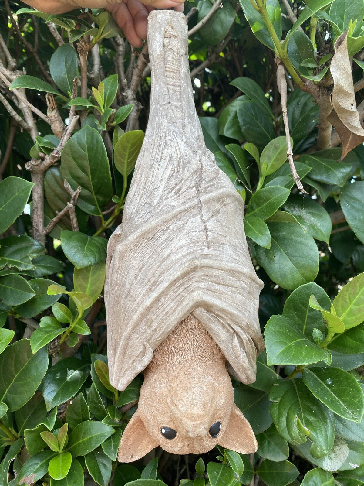 Hanging Bat Flying Fox Statue Concrete Garden Ornament Australian Made