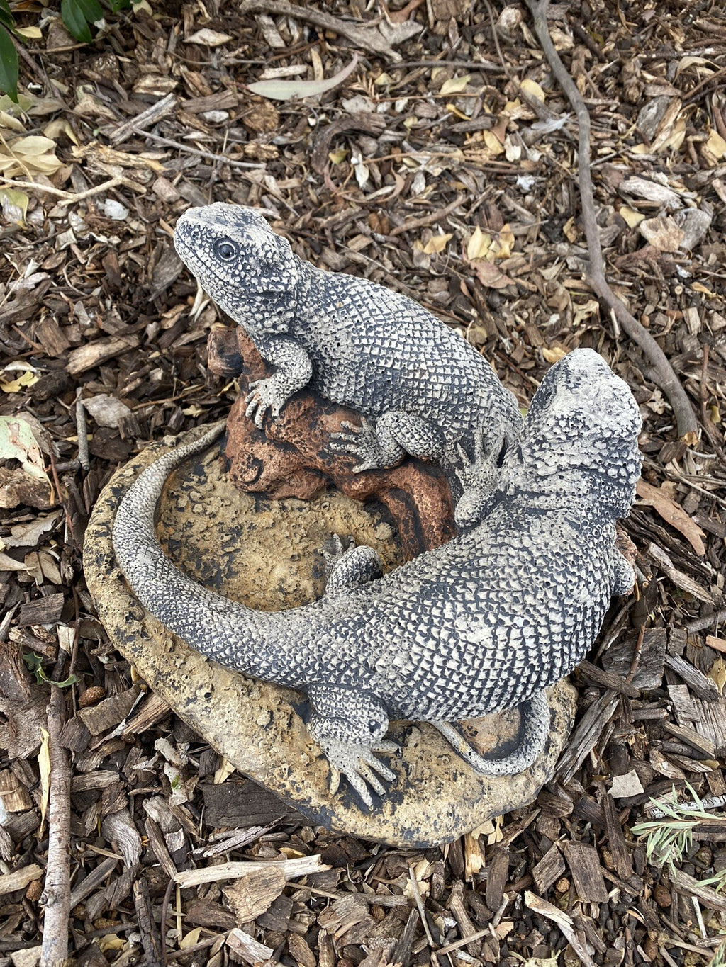 Bearded Dragon Lizard Garden Statue Ornament Animal Concrete Australia Made Pair