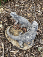 Bearded Dragon Lizard Garden Statue Ornament Animal Concrete Australia Made Pair