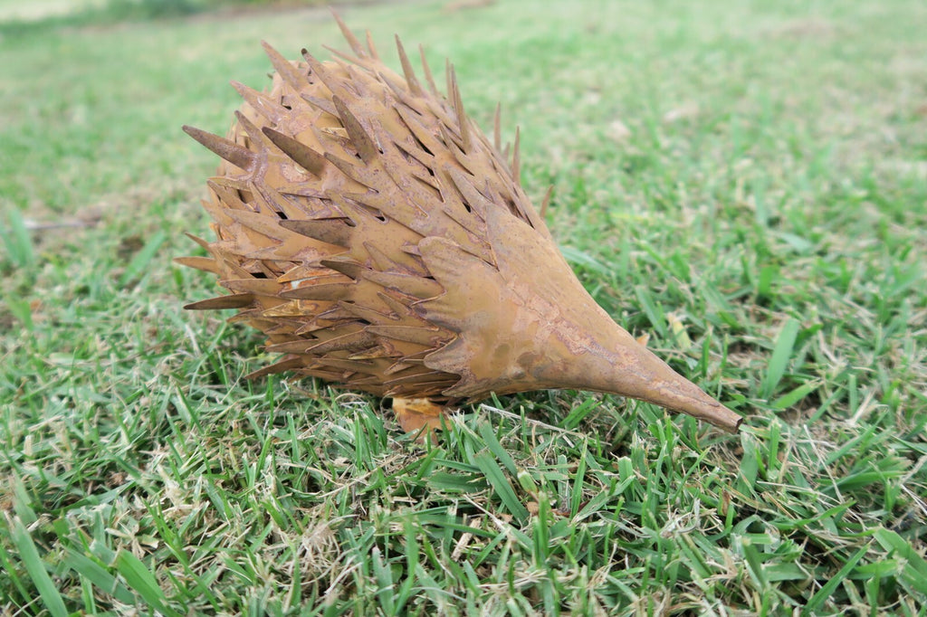 Echidna Statue Australian Native Wildlife Metal Ornament Garden Lawn Set of 2
