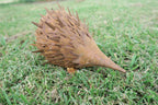 Echidna Statue Australian Native Wildlife Metal Ornament Garden Lawn Set of 2