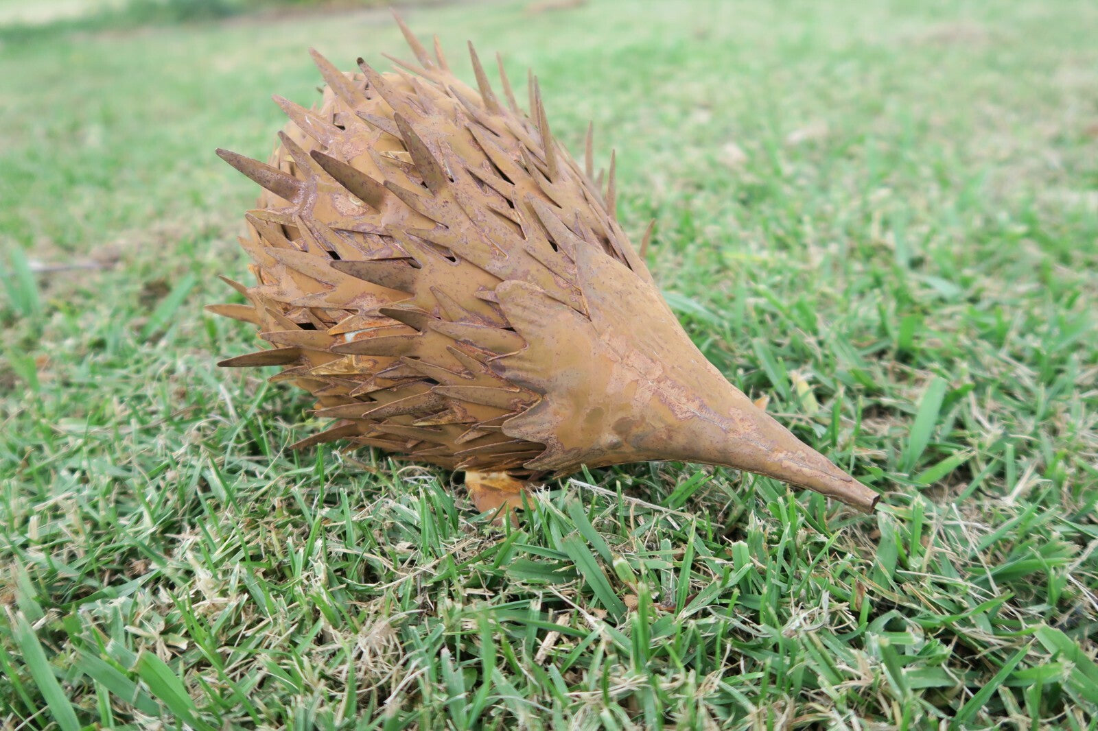 Echidna Statue Australian Native Wildlife Metal Ornament Garden Lawn Set of 2