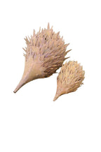 Echidna Statue Australian Native Wildlife Metal Ornament Garden Lawn Set of 2