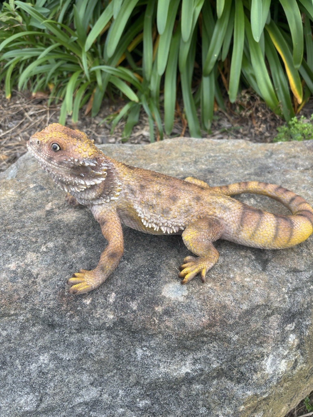 Bearded Dragon Lizard Garden Statue Ornament Figurine Life Size Figurine