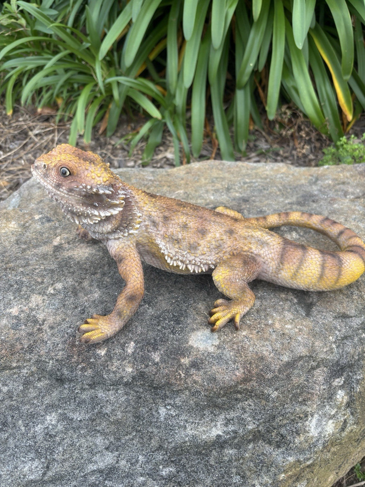 Bearded Dragon Lizard Garden Statue Ornament Figurine Life Size Figurine